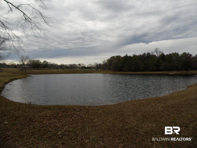 12360 Deer Ridge Drive Wilmer, AL 36587 - Photo 23 of 23 BEAUTIFUL LAKE ONLY STEPS AWAY FROM HOME