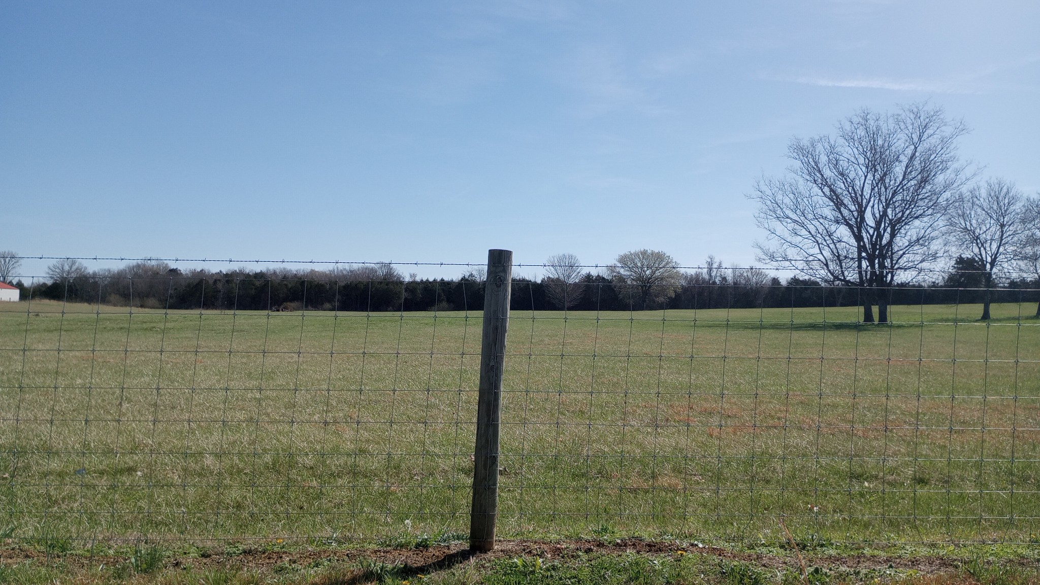 0 Verona Caney Road Lewisburg, TN 37091 - Photo 1 of 2 a view of lake