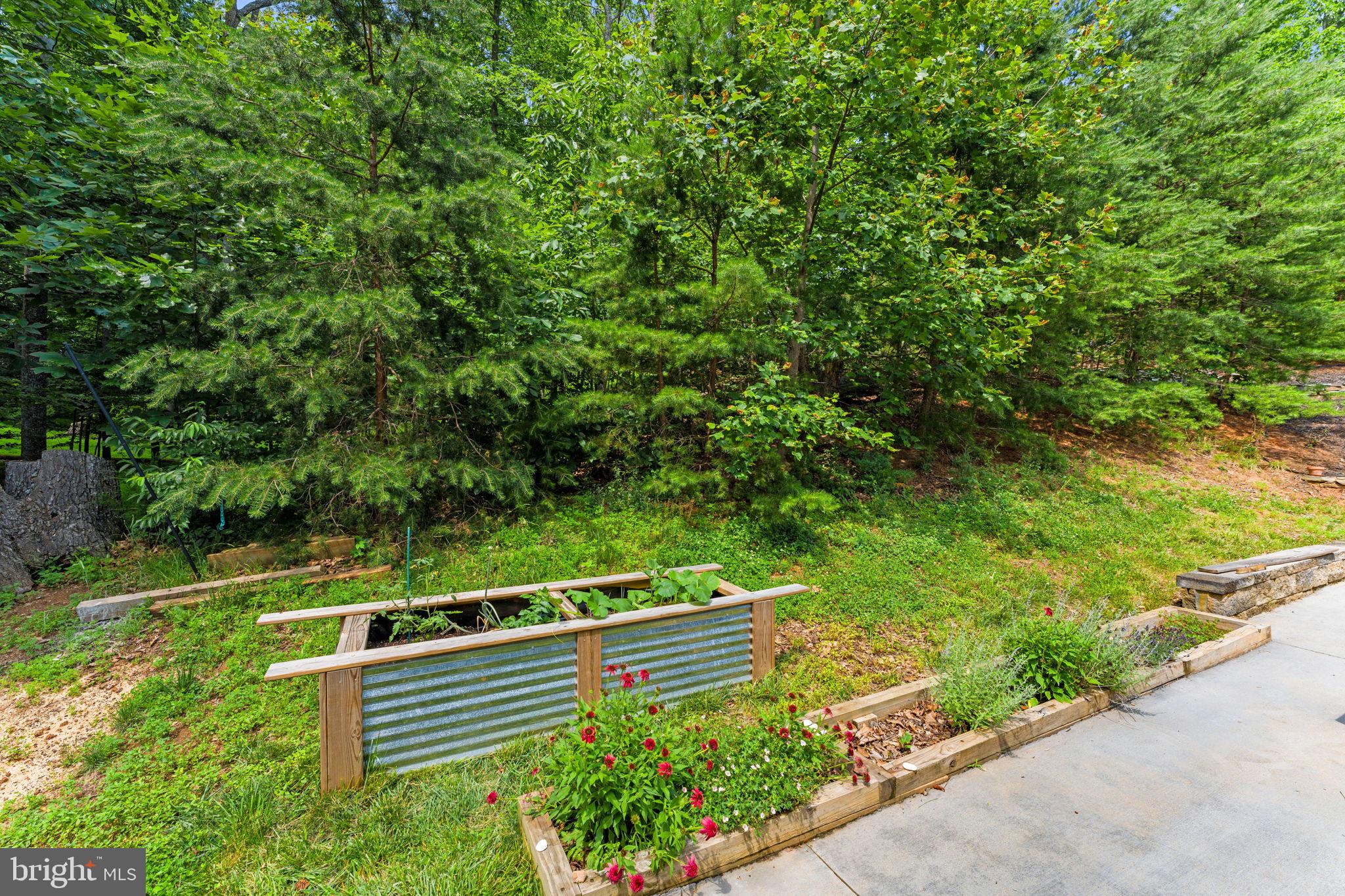 6688 Kelly Road Warrenton, VA 20187 - Photo 42 of 49 Gallery Image 42
