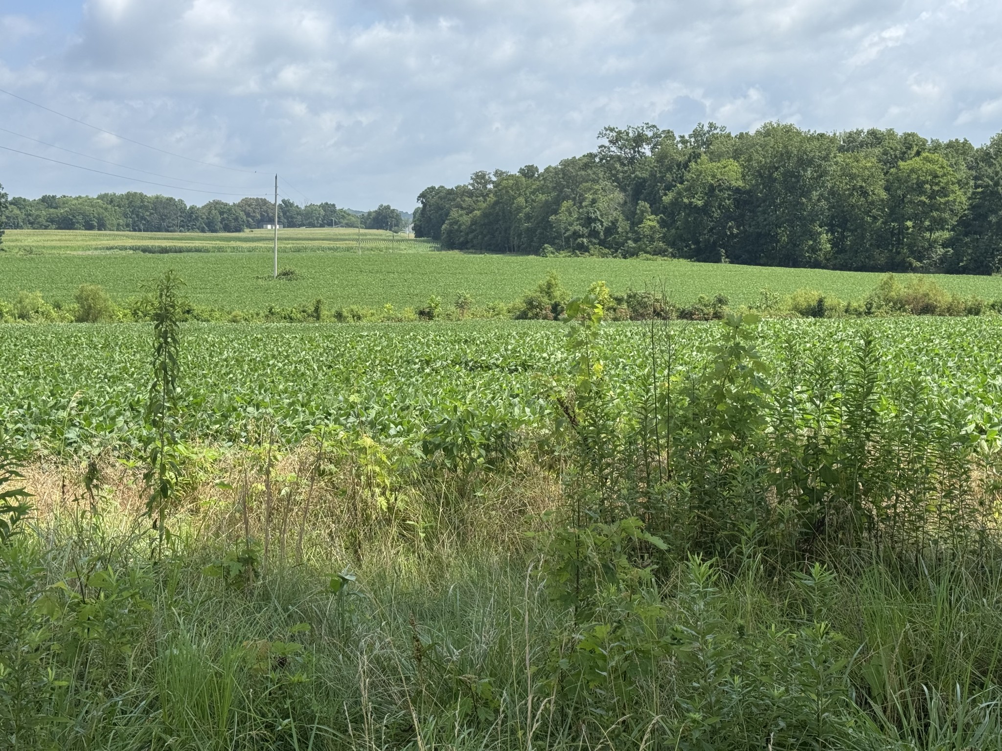 0 Zander Road Hopkinsville, KY 42240 - Photo 3 of 7