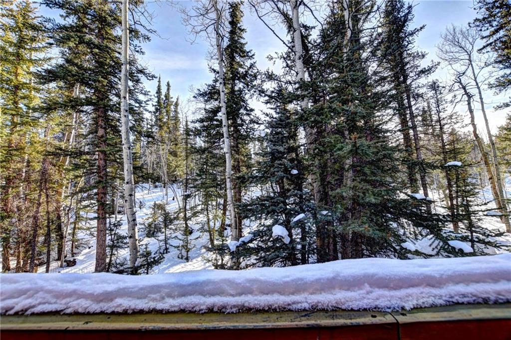 60 Cheyenne Road Como, CO 80456 - Photo 23 of 30 Gallery Image 23