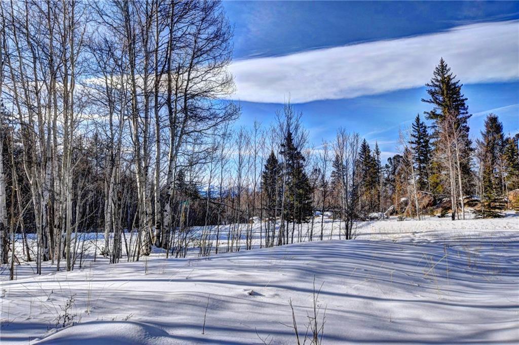 60 Cheyenne Road Como, CO 80456 - Photo 25 of 30 Gallery Image 25