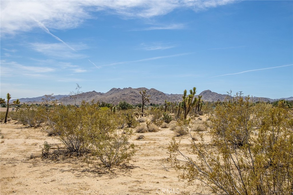 6563 Saddleback Road Joshua Tree, CA 92252 - Photo 15 of 17