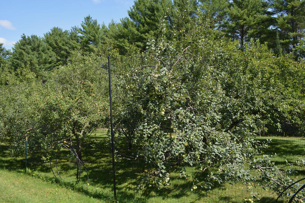 Lot 1 Middlegate Lane New Portland, ME 04961 - Photo 12 of 16 DSC_0074