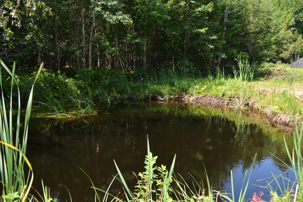 Lot 1 Middlegate Lane New Portland, ME 04961 - Photo 7 of 16 DSC_0069