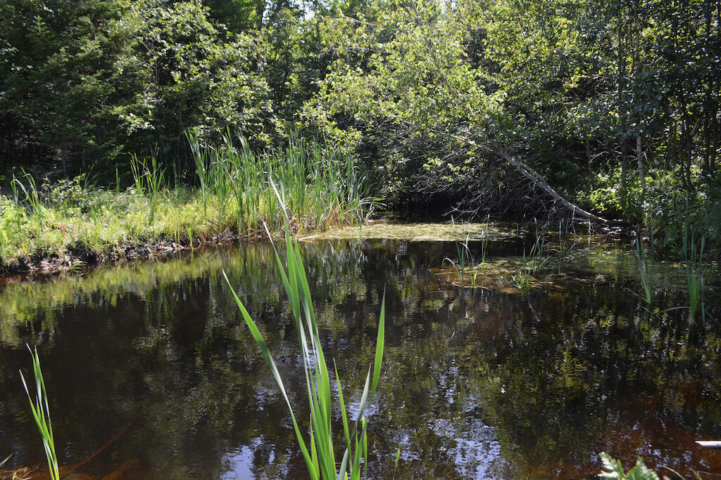 Lot 1 Middlegate Lane New Portland, ME 04961 - Photo 8 of 16 DSC_0068