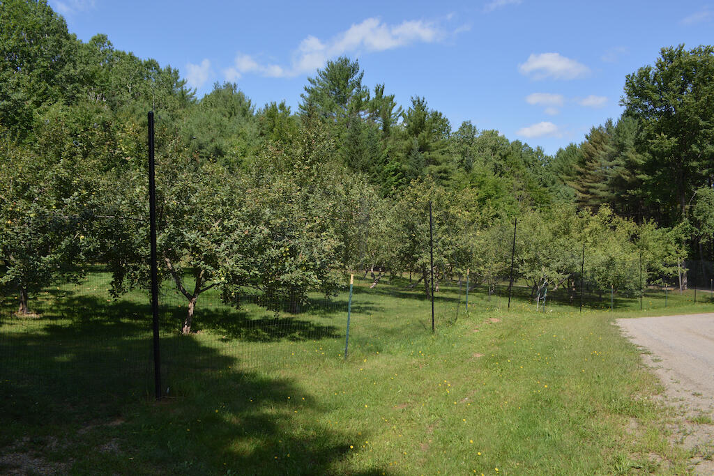 Lot 1 Middlegate Lane New Portland, ME 04961 - Photo 10 of 16 DSC_0076