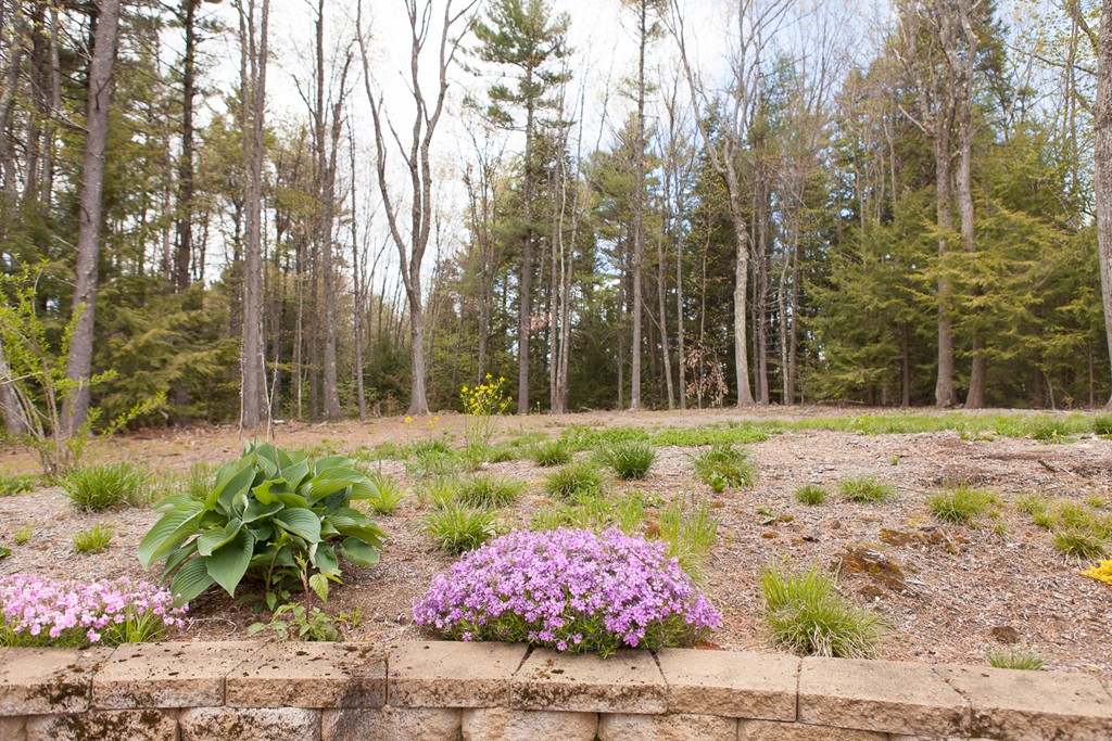 235 Ellis Road Westminster, MA 01473 - Photo 24 of 30 a view of a backyard with large trees
