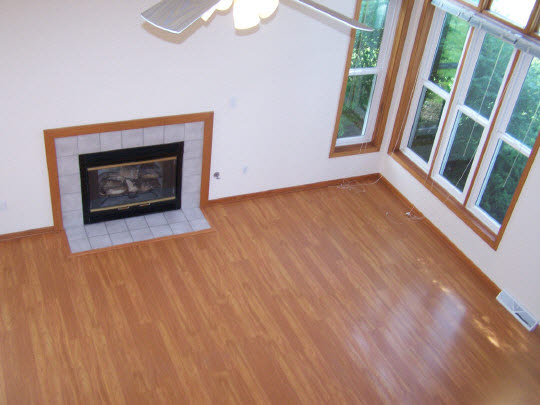 2380 Gustafson Road Belvidere, IL 61008 - Photo 4 of 11 a view of an empty room with wooden floor and a fireplace