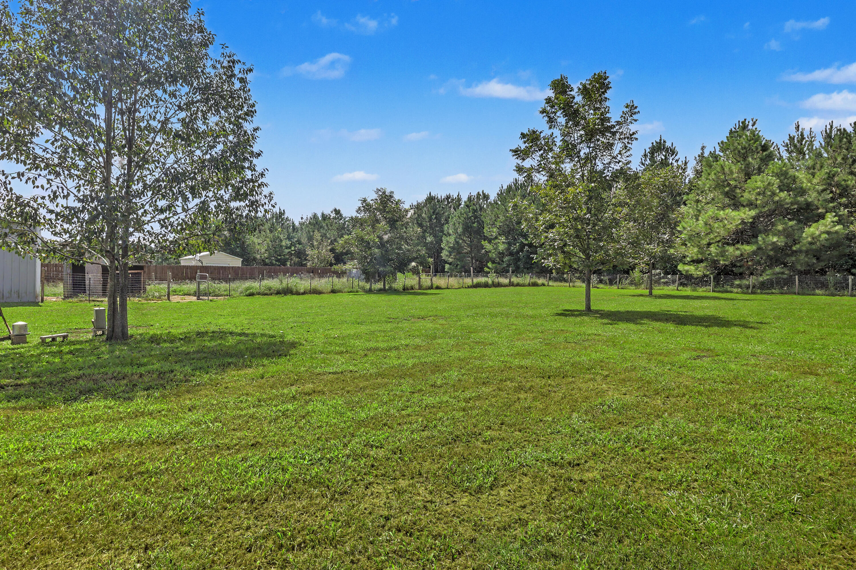654 Second Texas Road St. George, SC 29477 - Photo 6 of 36 Back yard / Acre