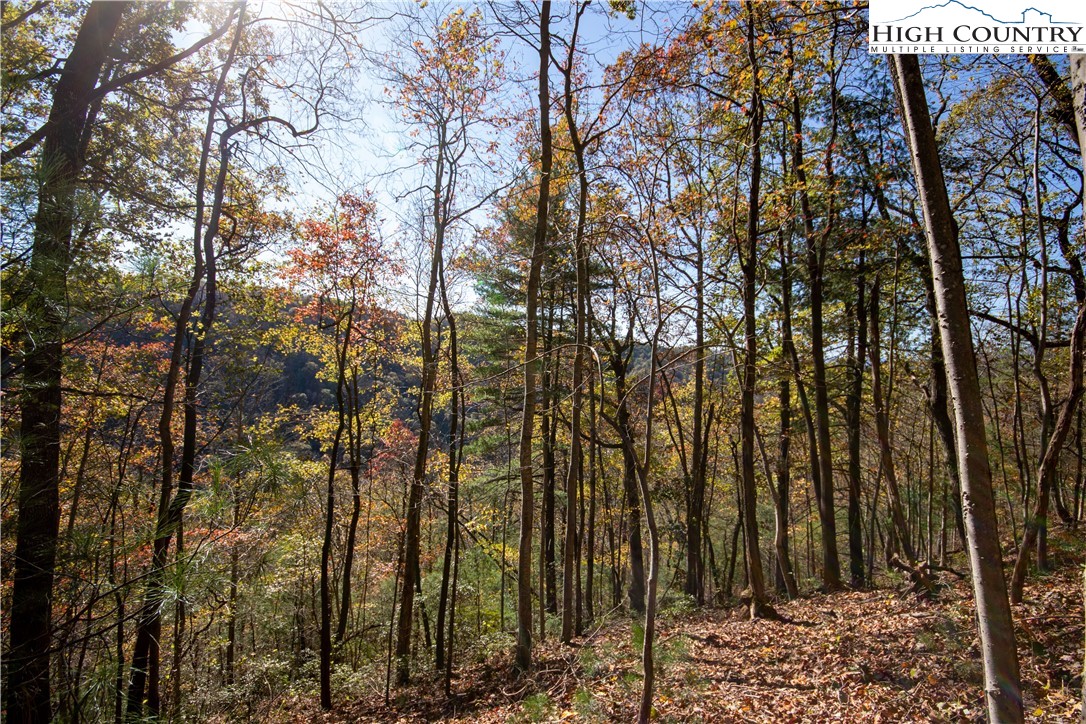 Lot#547 Autumn Ridge Drive Lenoir, NC 28645 - Photo 11 of 50 a view of a forest