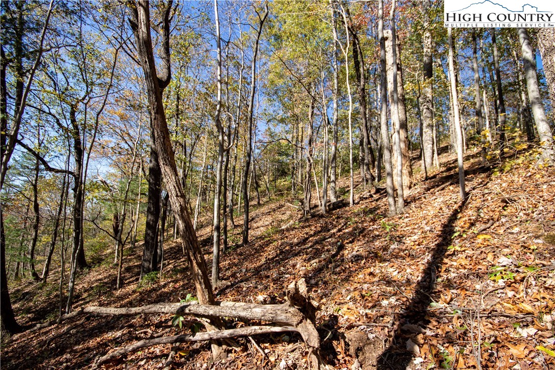 Lot#547 Autumn Ridge Drive Lenoir, NC 28645 - Photo 13 of 50 a view of a pathway with a tree