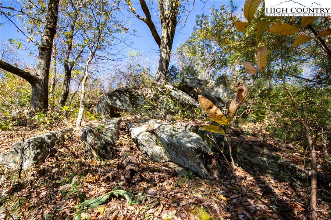 Lot#547 Autumn Ridge Drive Lenoir, NC 28645 - Photo 16 of 50 a view of a tree