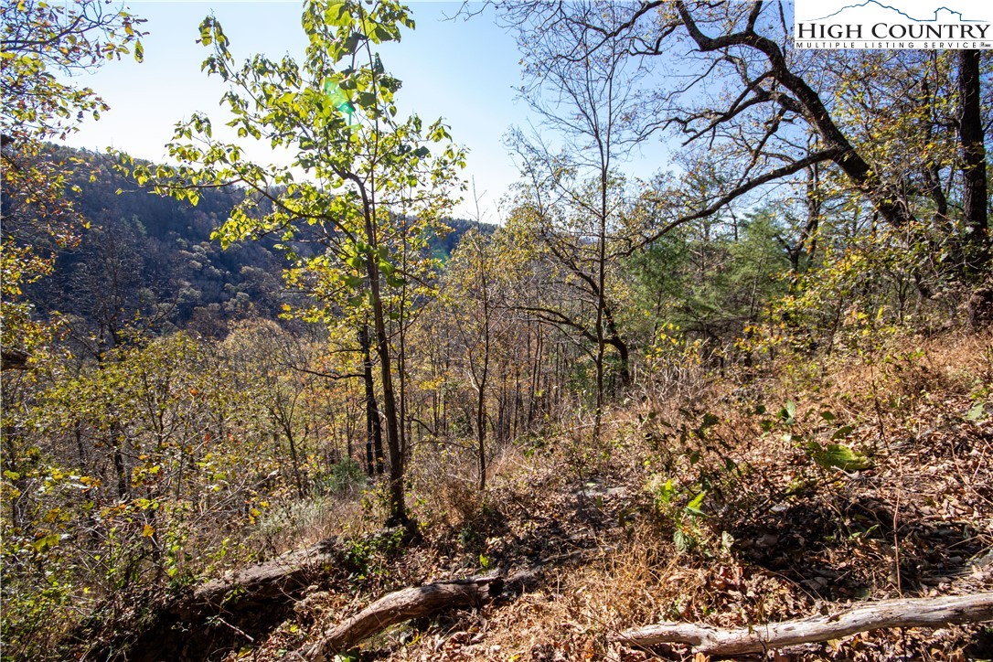 Lot#547 Autumn Ridge Drive Lenoir, NC 28645 - Photo 17 of 50 a view of a yard with plants and trees