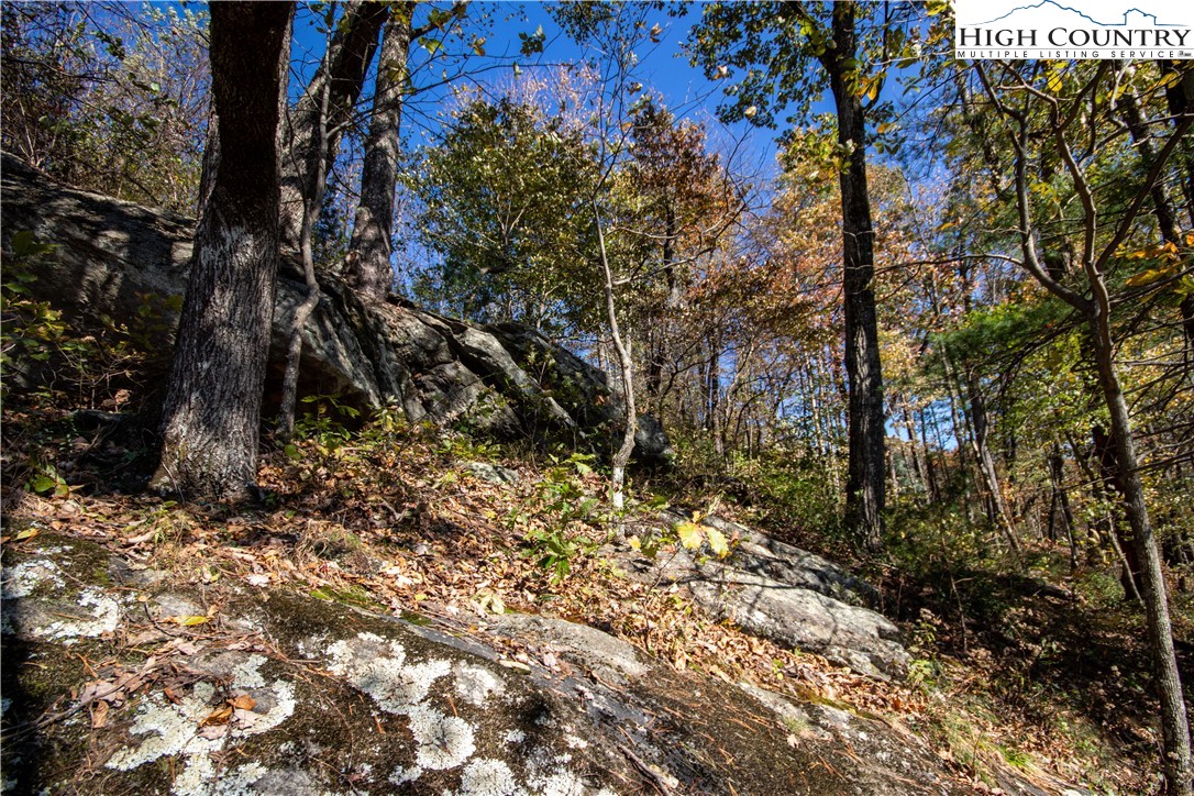 Lot#547 Autumn Ridge Drive Lenoir, NC 28645 - Photo 18 of 50 a view of a tree with a tree