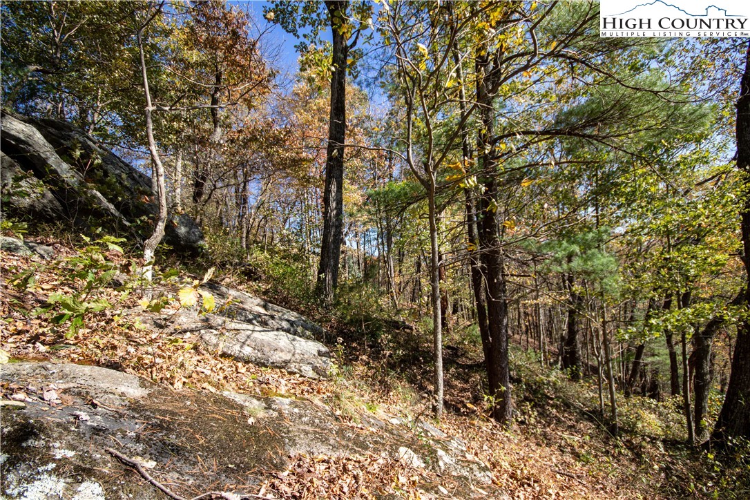 Lot#547 Autumn Ridge Drive Lenoir, NC 28645 - Photo 19 of 50 a view of a forest