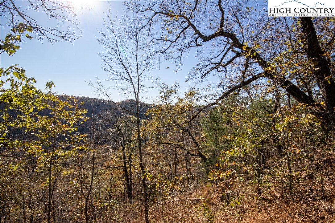 Lot#547 Autumn Ridge Drive Lenoir, NC 28645 - Photo 20 of 50 a view of a forest with a tree