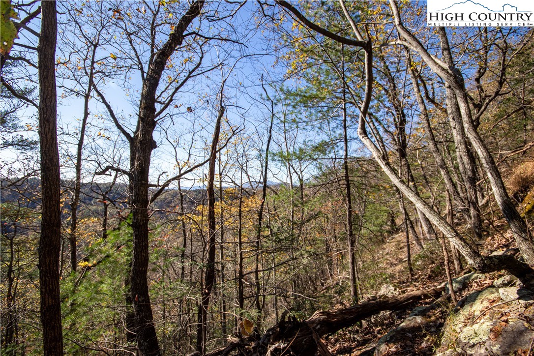 Lot#547 Autumn Ridge Drive Lenoir, NC 28645 - Photo 21 of 50 a view of a forest