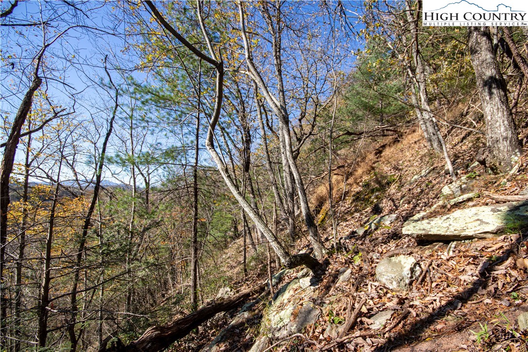 Lot#547 Autumn Ridge Drive Lenoir, NC 28645 - Photo 22 of 50