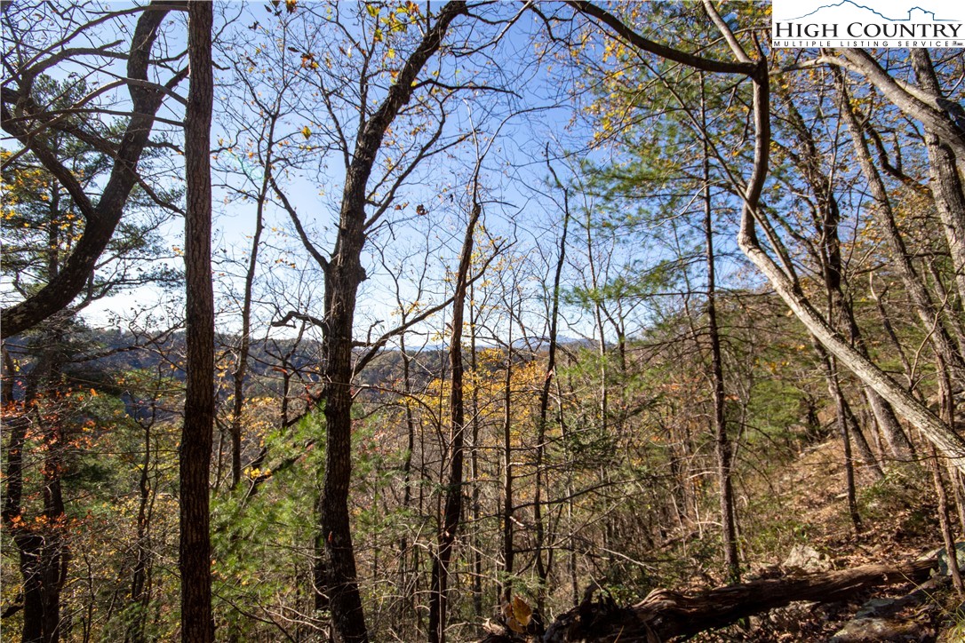 Lot#547 Autumn Ridge Drive Lenoir, NC 28645 - Photo 23 of 50 a view of a yard with plants and trees