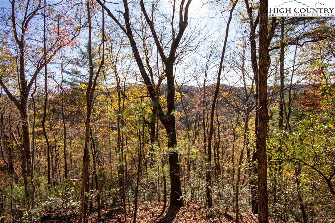 Lot#547 Autumn Ridge Drive Lenoir, NC 28645 - Photo 25 of 50