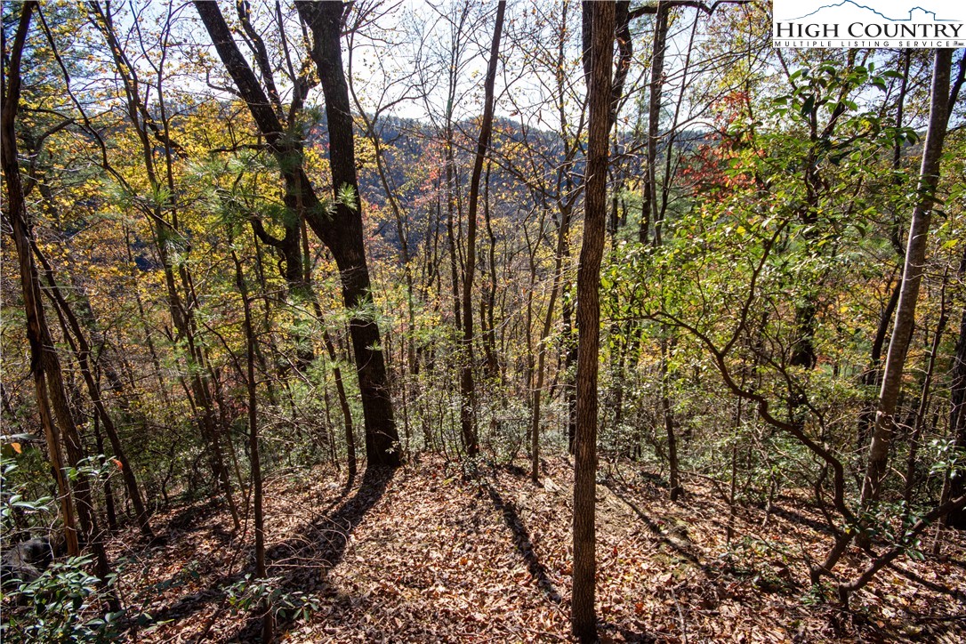 Lot#547 Autumn Ridge Drive Lenoir, NC 28645 - Photo 26 of 50 a view of a yard