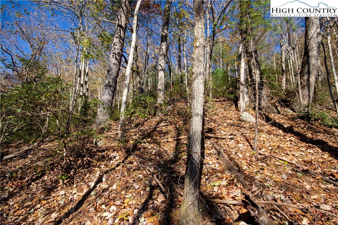 Lot#547 Autumn Ridge Drive Lenoir, NC 28645 - Photo 27 of 50 a view of under construction space