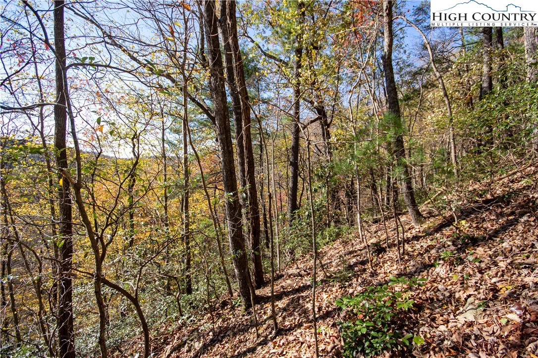 Lot#547 Autumn Ridge Drive Lenoir, NC 28645 - Photo 28 of 50 a view of a yard with plants and trees
