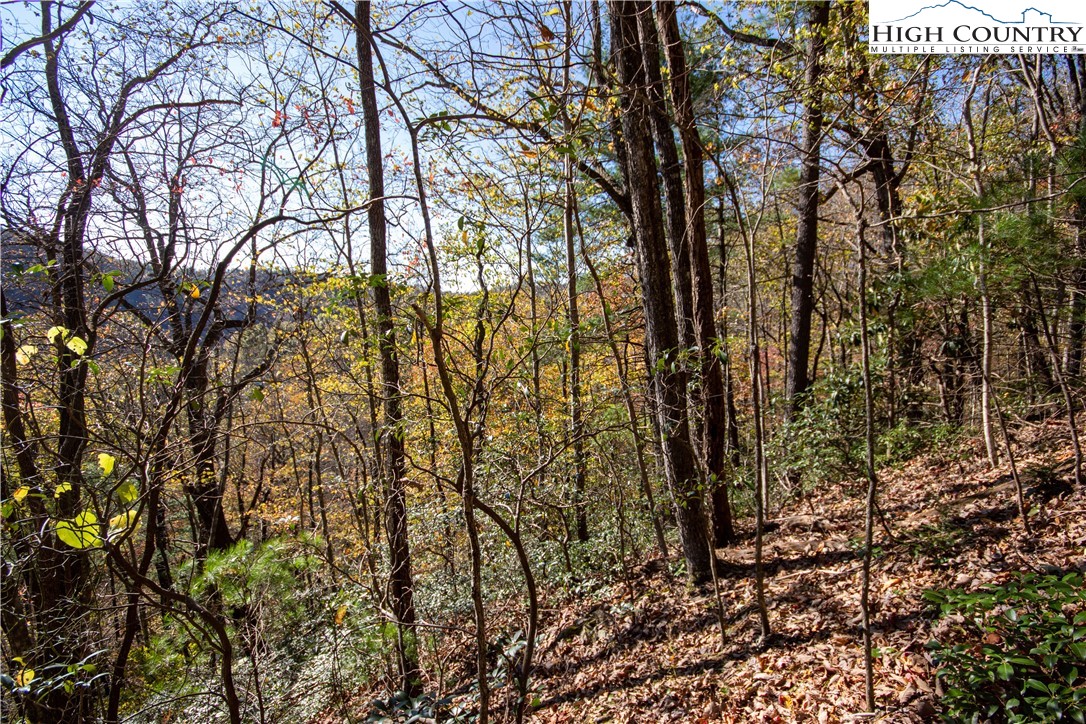 Lot#547 Autumn Ridge Drive Lenoir, NC 28645 - Photo 29 of 50