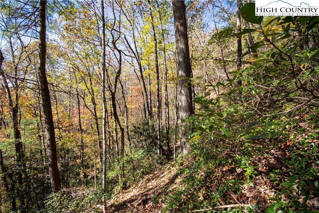 Lot#547 Autumn Ridge Drive Lenoir, NC 28645 - Photo 30 of 50 a view of forest