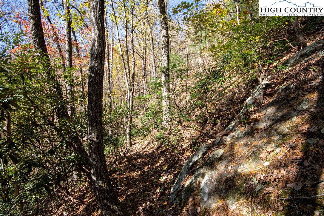 Lot#547 Autumn Ridge Drive Lenoir, NC 28645 - Photo 31 of 50