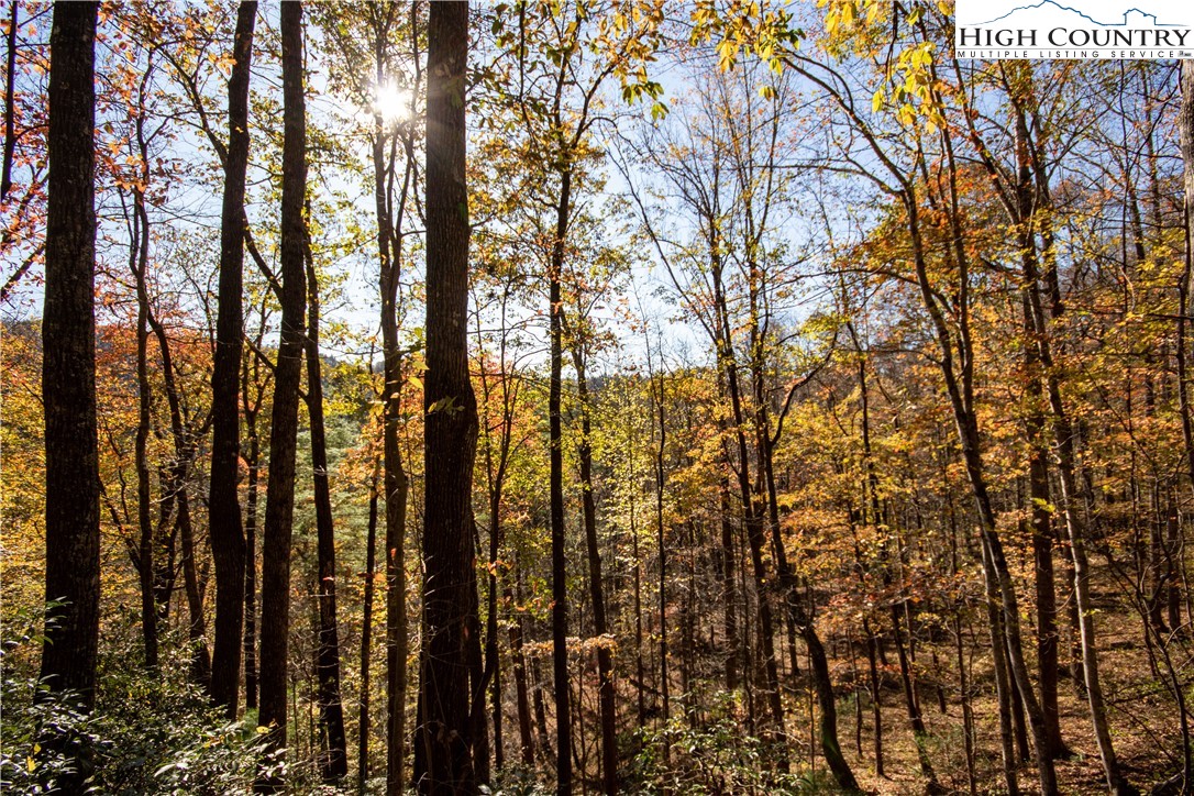 Lot#547 Autumn Ridge Drive Lenoir, NC 28645 - Photo 33 of 50 a view of trees and covered with tall trees