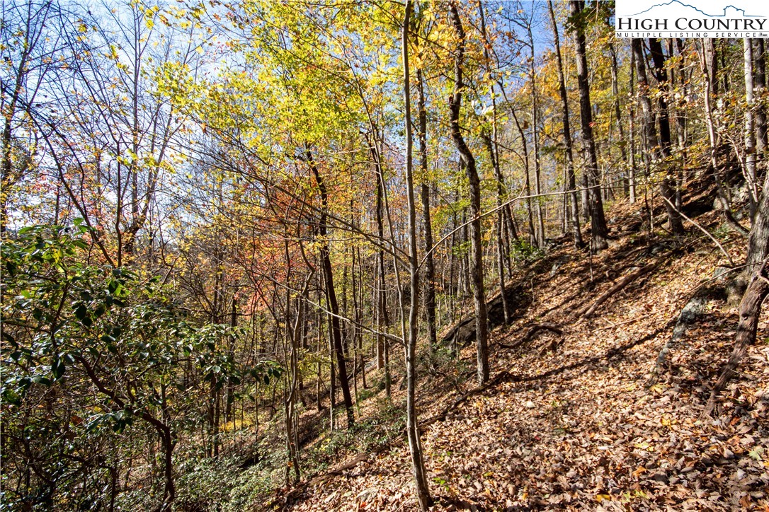 Lot#547 Autumn Ridge Drive Lenoir, NC 28645 - Photo 34 of 50 a view of outdoor space