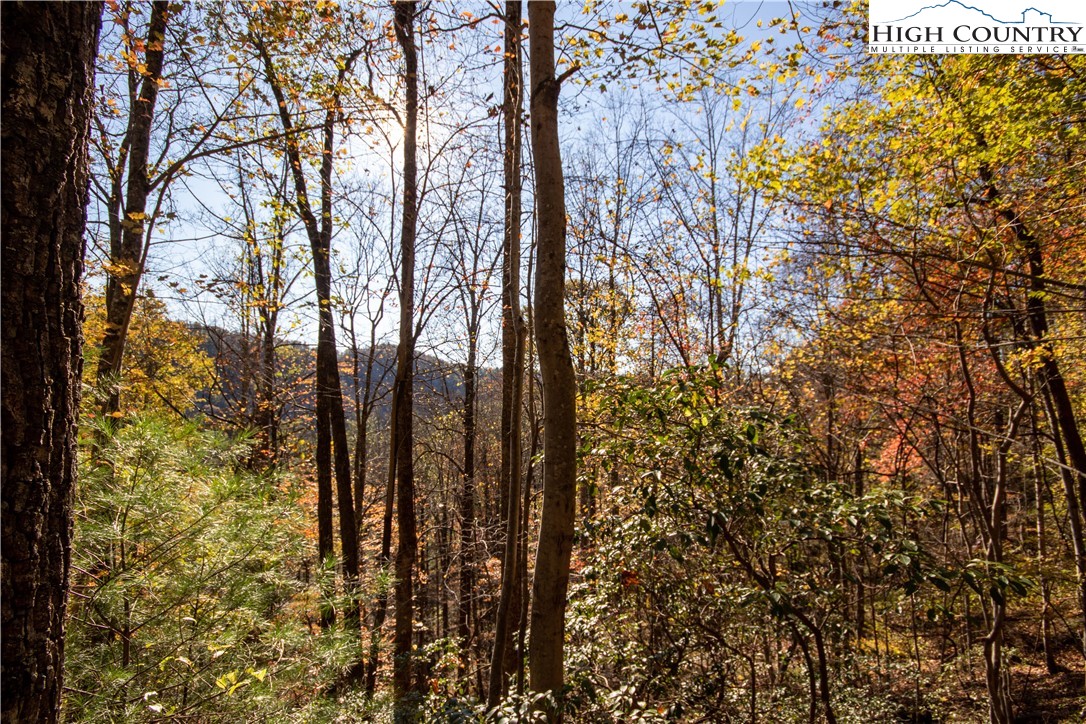 Lot#547 Autumn Ridge Drive Lenoir, NC 28645 - Photo 35 of 50 a view of outdoor space and garden