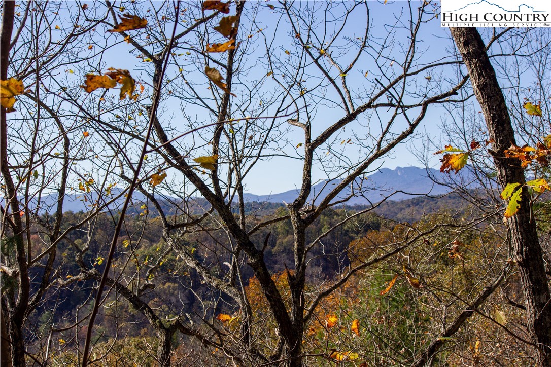 Lot#547 Autumn Ridge Drive Lenoir, NC 28645 - Photo 4 of 50 a backyard of a house with lots of trees