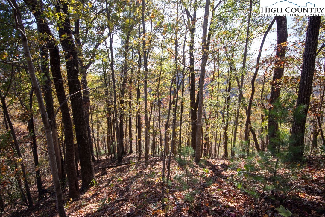 Lot#547 Autumn Ridge Drive Lenoir, NC 28645 - Photo 8 of 50 a view of outdoor space and yard