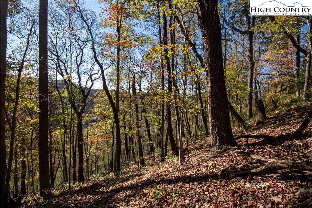 Lot#547 Autumn Ridge Drive Lenoir, NC 28645 - Photo 10 of 50 a view of a backyard of the house