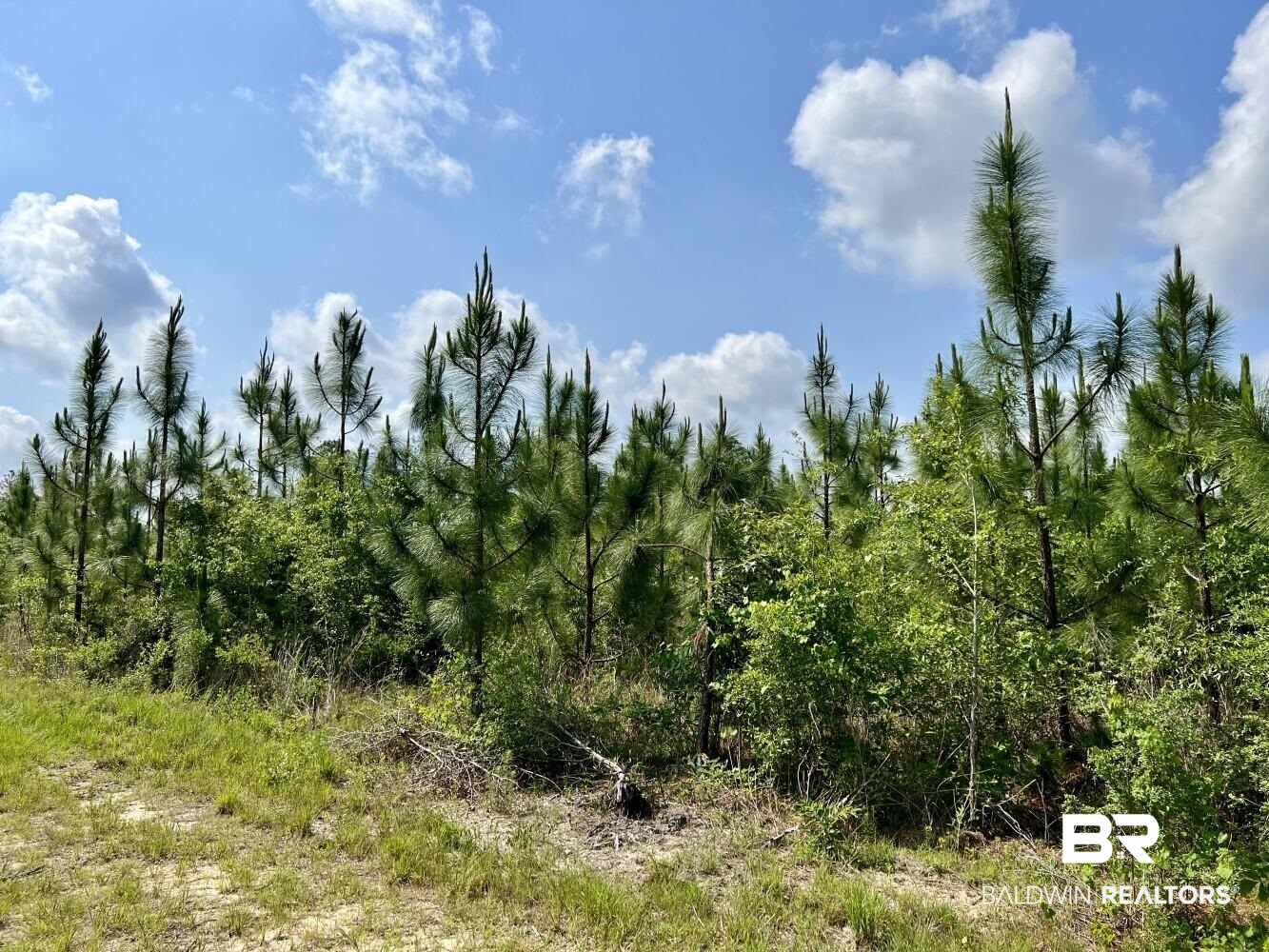 0 Private Road Citronelle, AL 36522 - Photo 8 of 27