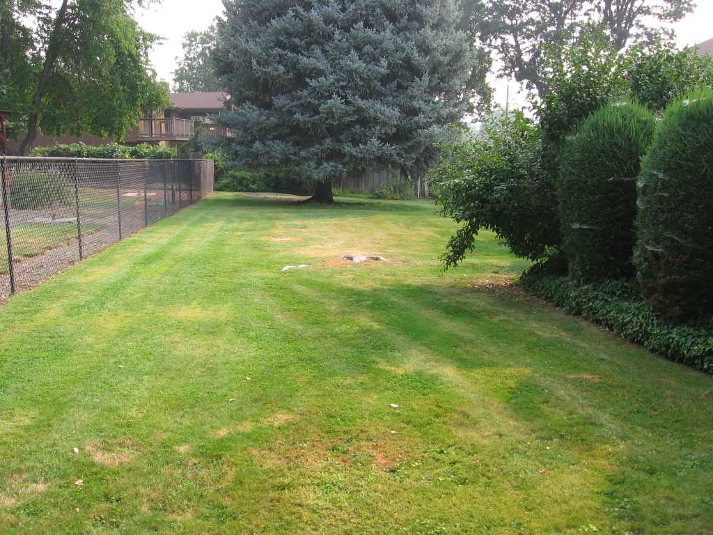 2315 Fort Jones Road Yreka, CA 96097 - Photo 6 of 16 Gallery Image 6