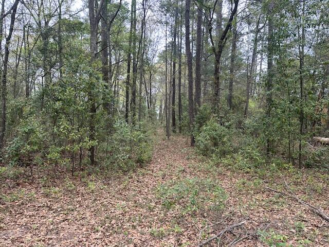 829 Lewis Road Sumter, SC 29154 - Photo 12 of 29 image28