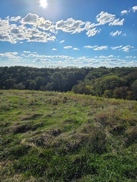 408 Mattox Road Falmouth, KY 41040 - Photo 18 of 28