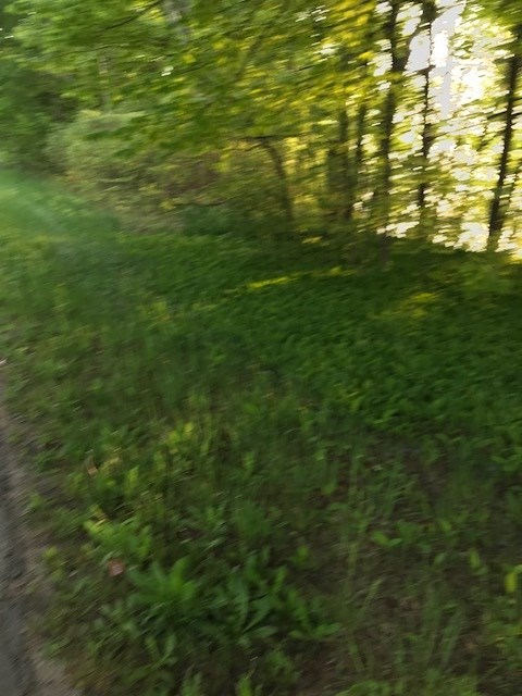 13921 B Bluff Road Traverse City, MI 49686 - Photo 9 of 16 1849954-8.JPG