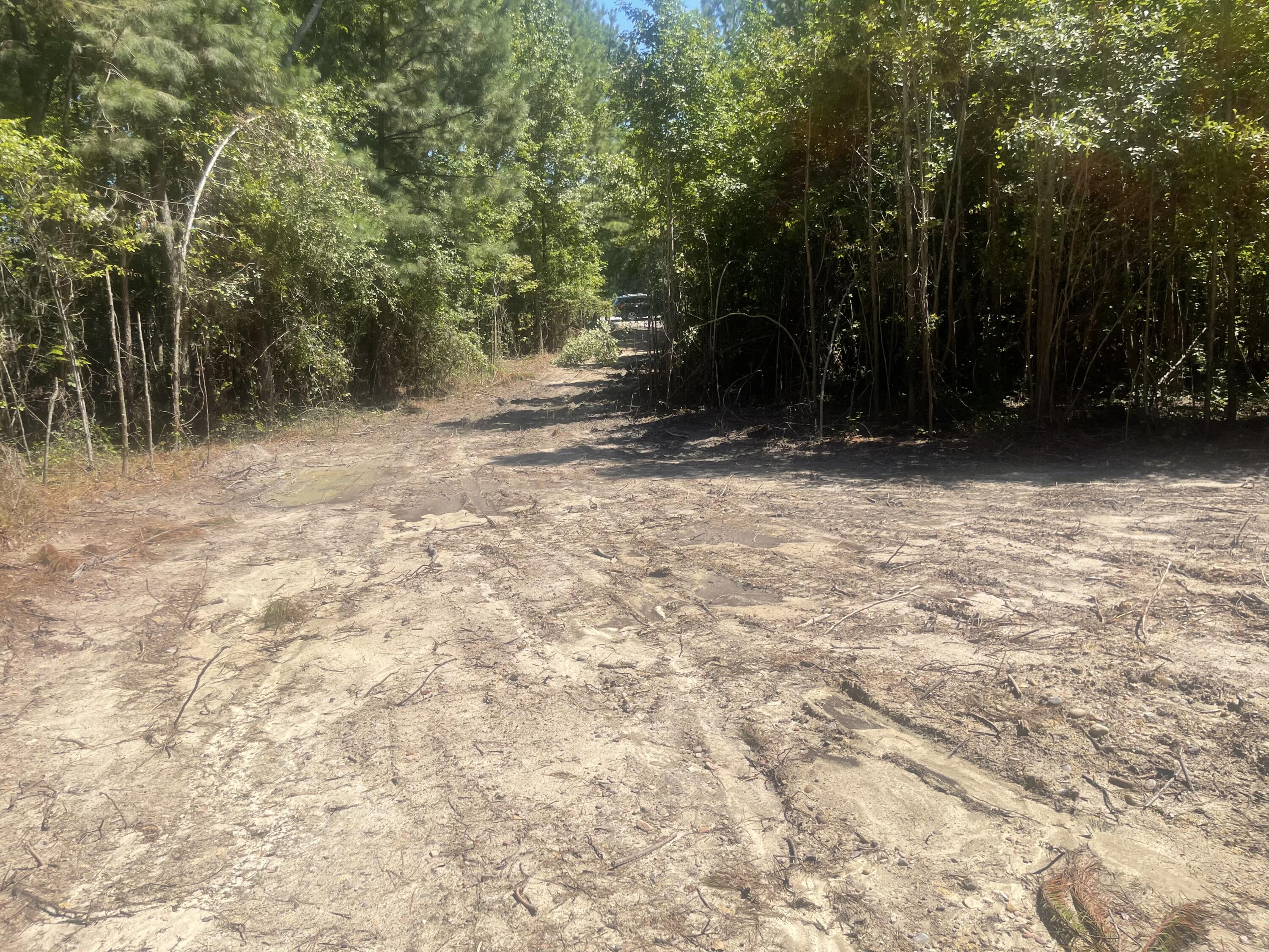 0 Adams-Reeves Road Dearing, GA 30808 - Photo 8 of 9 View when leaving