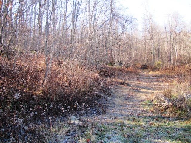 Black Oak Road Rock, WV 24747 - Photo 7 of 14 Gallery Image 7