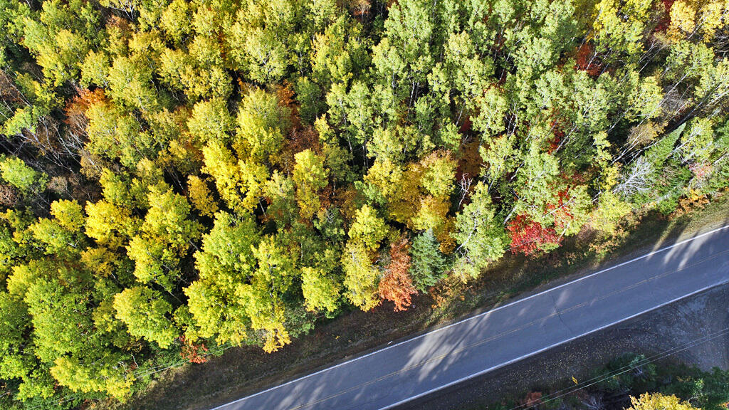 777 Bancroft Road Weston, ME 04424 - Photo 55 of 59 wooded-land-aroostook-aeria