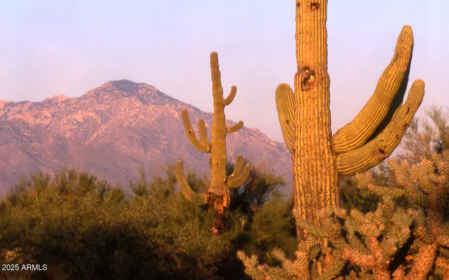 $12,330,000 | 411-lots West 411-lots W Reata Boulevard, Tucson, AZ 85736