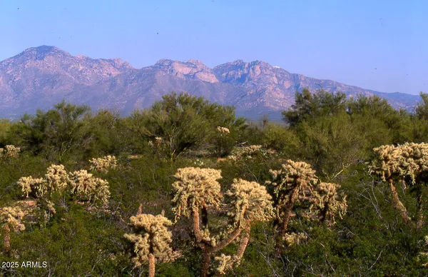 $12,330,000 | 411-lots West 411-lots W Reata Boulevard, Tucson, AZ 85736