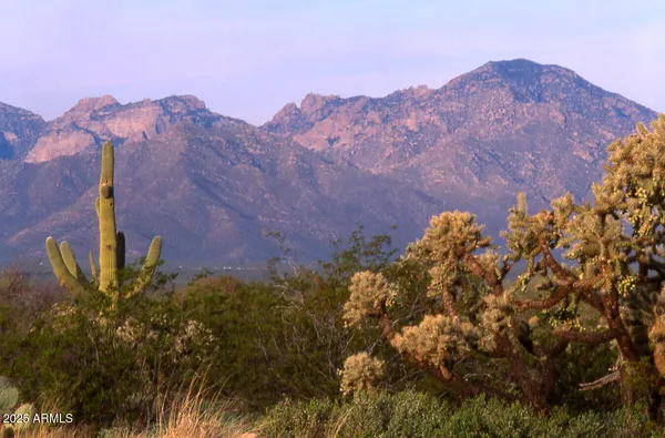 $12,330,000 | 411-lots West 411-lots W Reata Boulevard, Tucson, AZ 85736