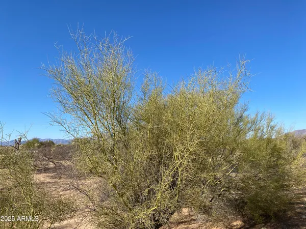 $12,330,000 | 411-lots West 411-lots W Reata Boulevard, Tucson, AZ 85736