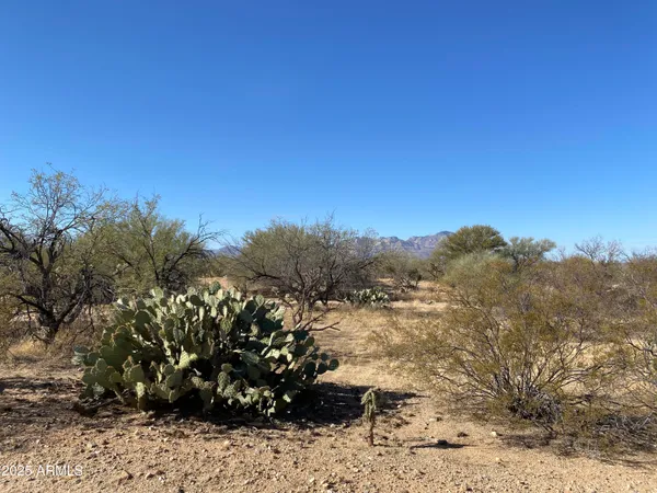 $12,330,000 | 411-lots West 411-lots W Reata Boulevard, Tucson, AZ 85736